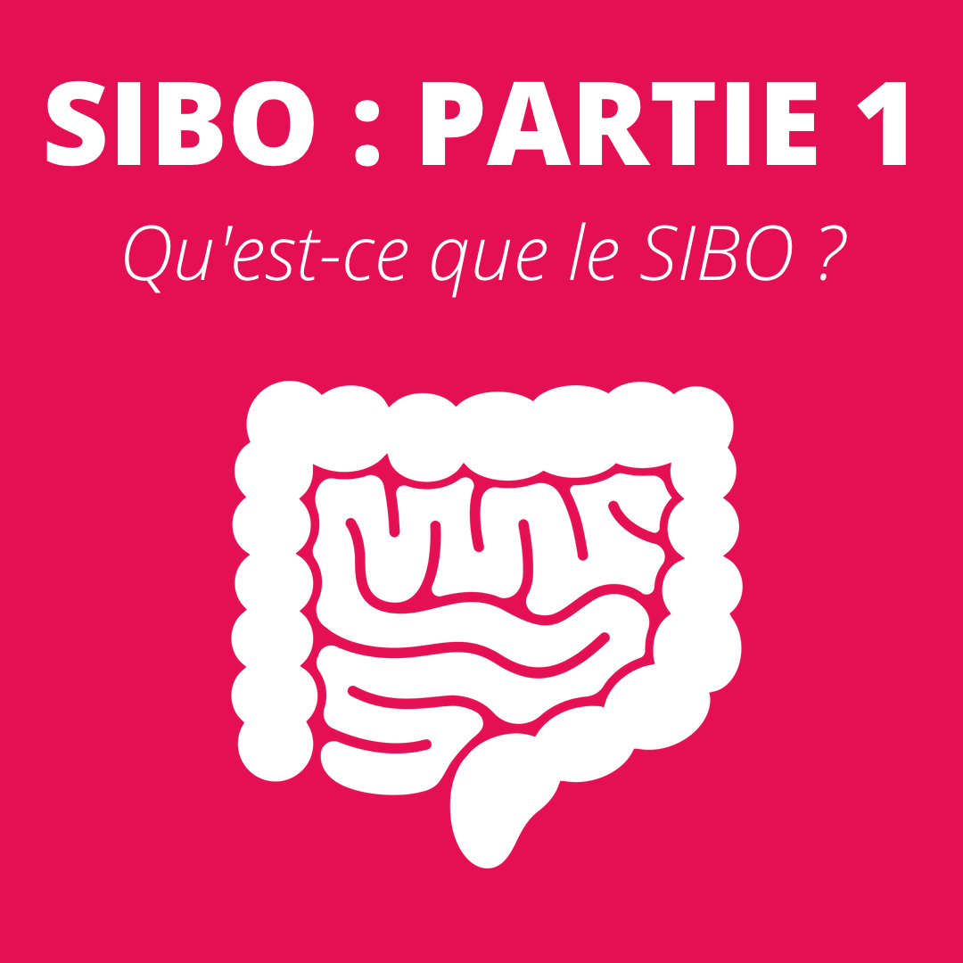 qu'est-ce que le SIBO