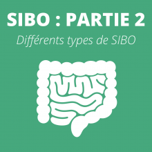 types de sibo