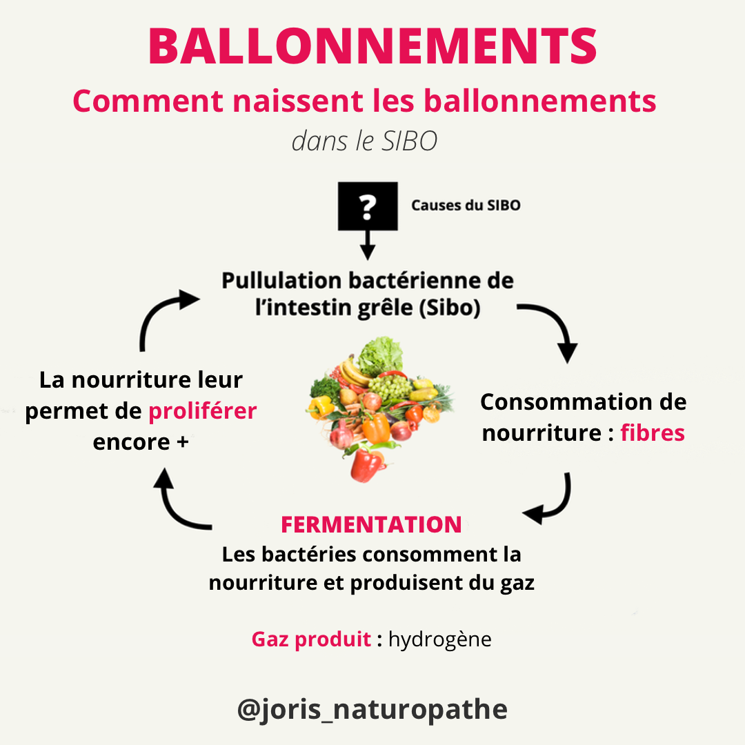 ballonnements et SIBO