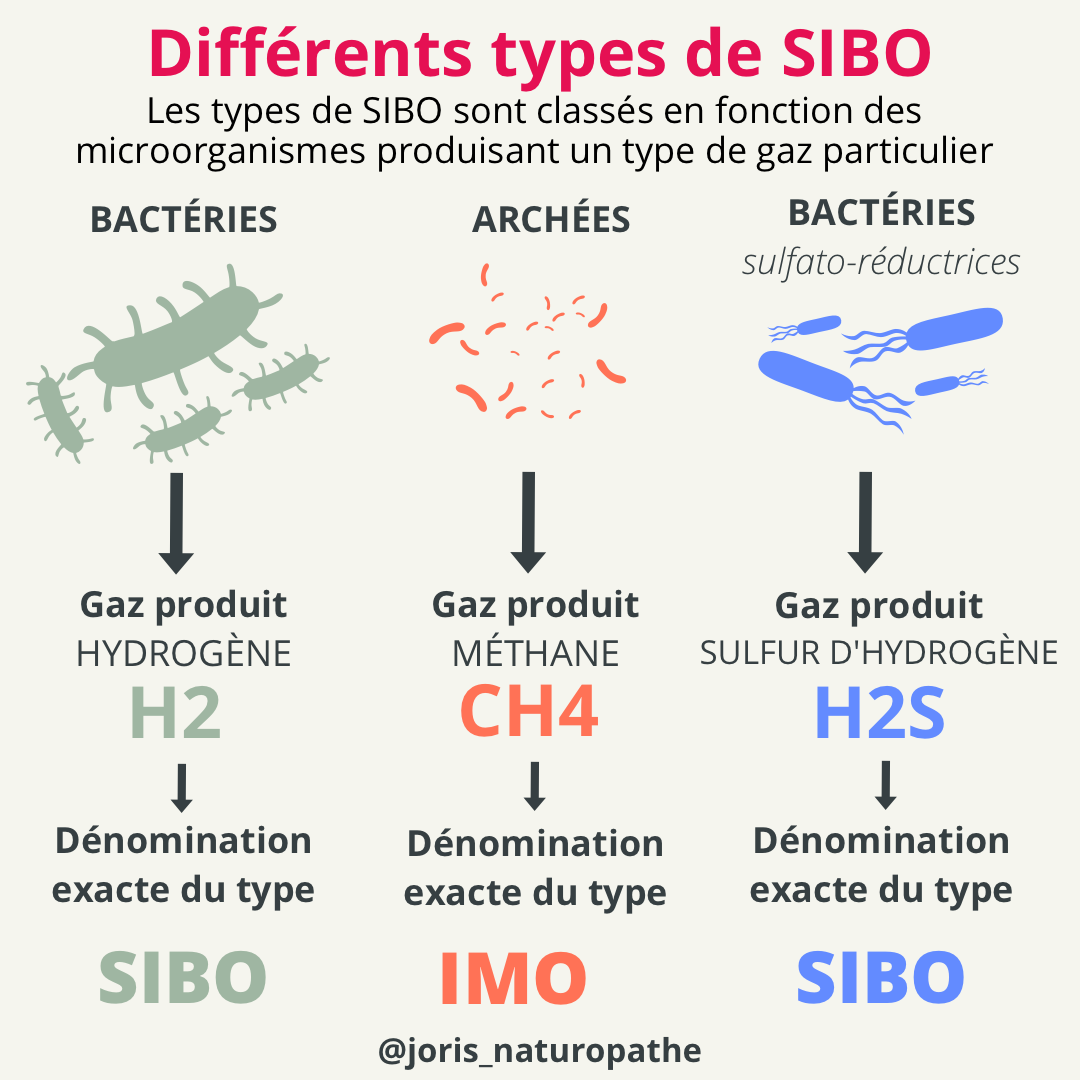 different types de SIBO