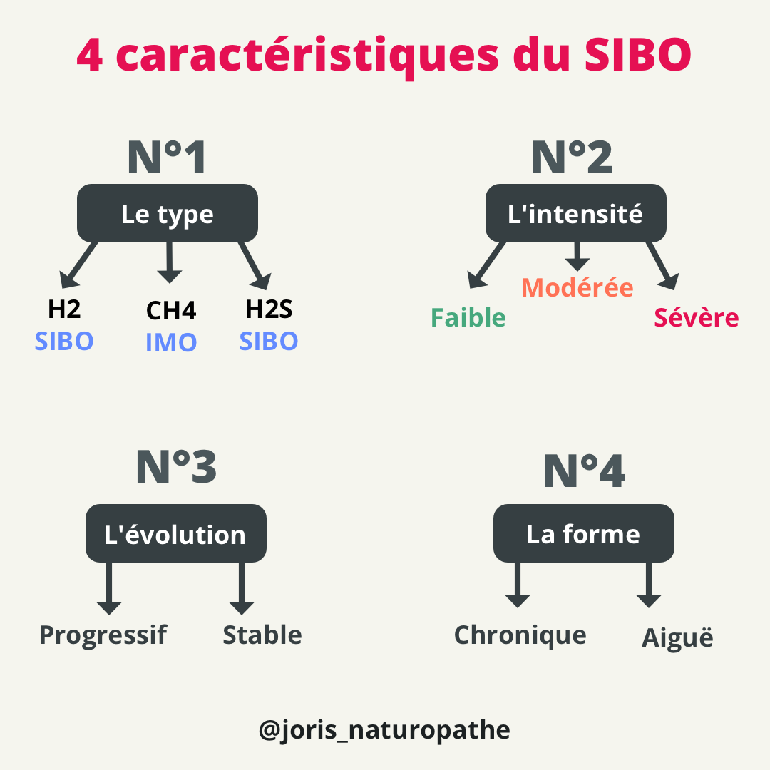 caractéristiques du SIBO